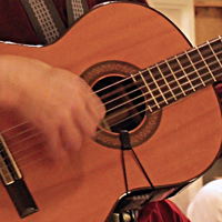 Musicians
